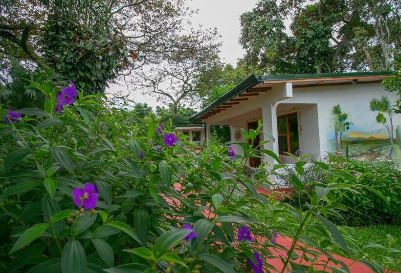 اتاق سوپریور سه تخته, La Rosa De America