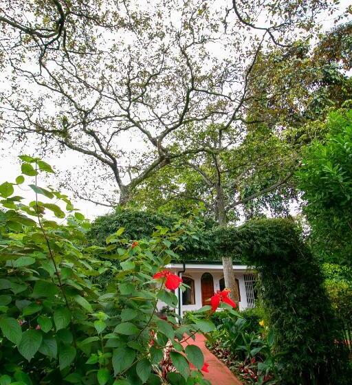 اتاق سوپریور سه تخته, La Rosa De America