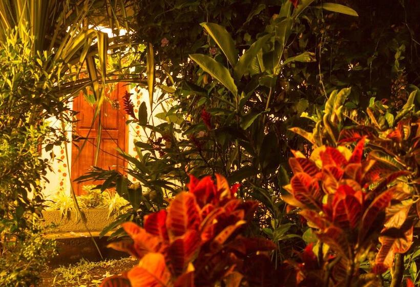 اتاق استاندارد یک نفره, La Rosa De America