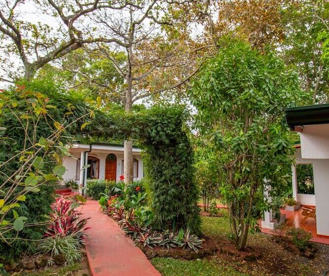 اتاق استاندارد یک نفره, La Rosa De America