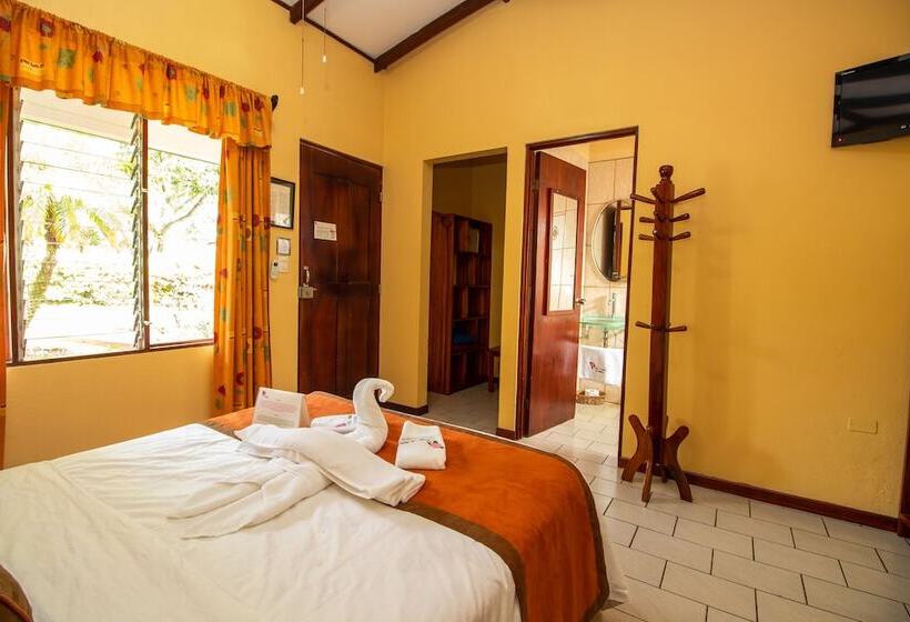 اتاق سوپریور یک تخته, La Rosa De America