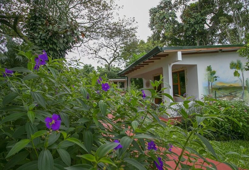 اتاق سوپریور سه تخته, La Rosa De America