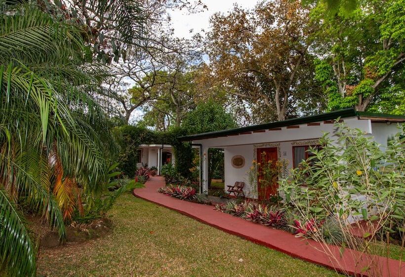 اتاق سوپریور سه تخته, La Rosa De America