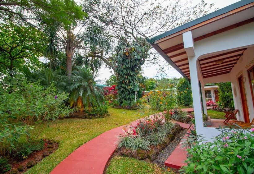 اتاق سوپریور چهار تخته, La Rosa De America