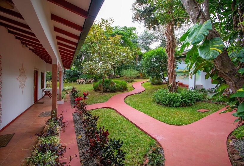 اتاق سوپریور چهار تخته, La Rosa De America