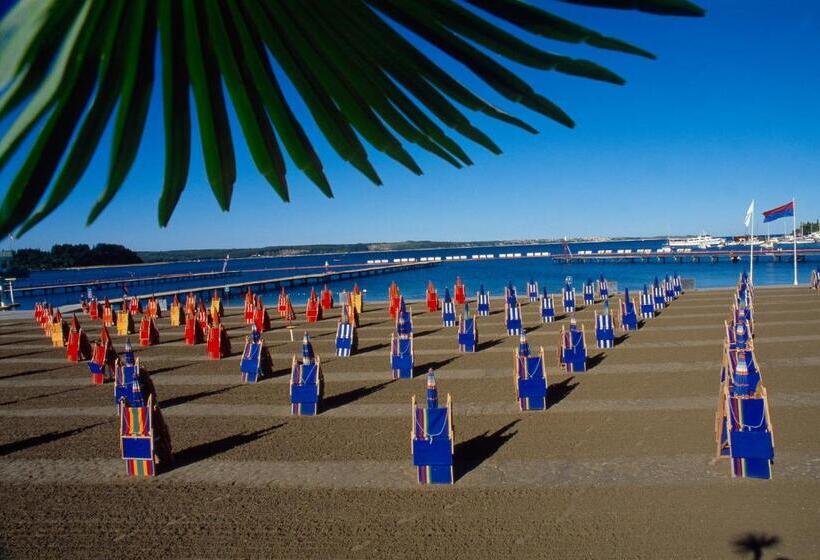 اتاق استاندارد, Marko