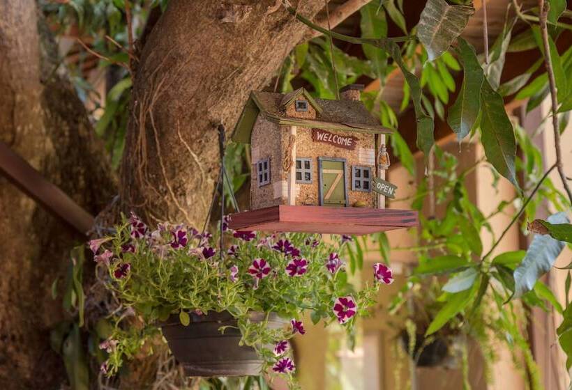 Номер Стандарт, Pousada Manga Rosa