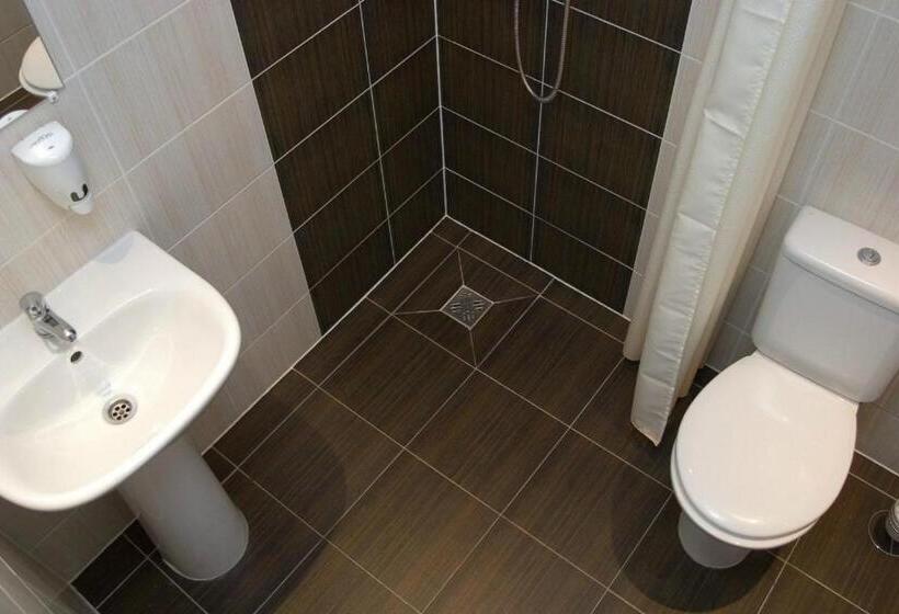 اتاق استاندارد, žuvėdra