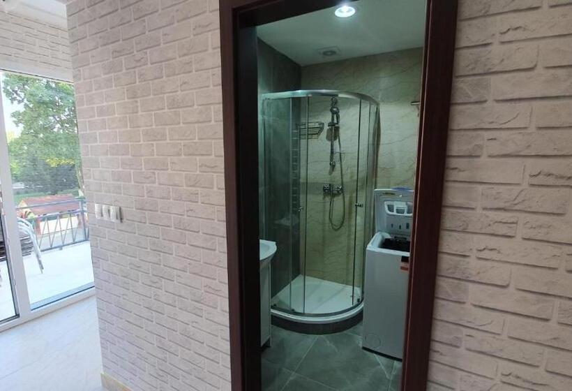 バルコニー付き１ベッドルームアパートメント, Zatoka