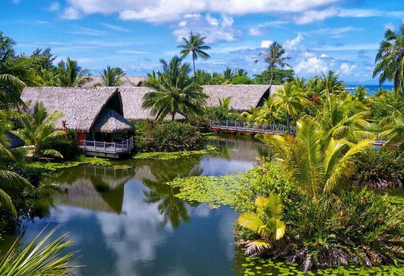 بانگلوی ممتاز, Maitai Lapita Village Huahine