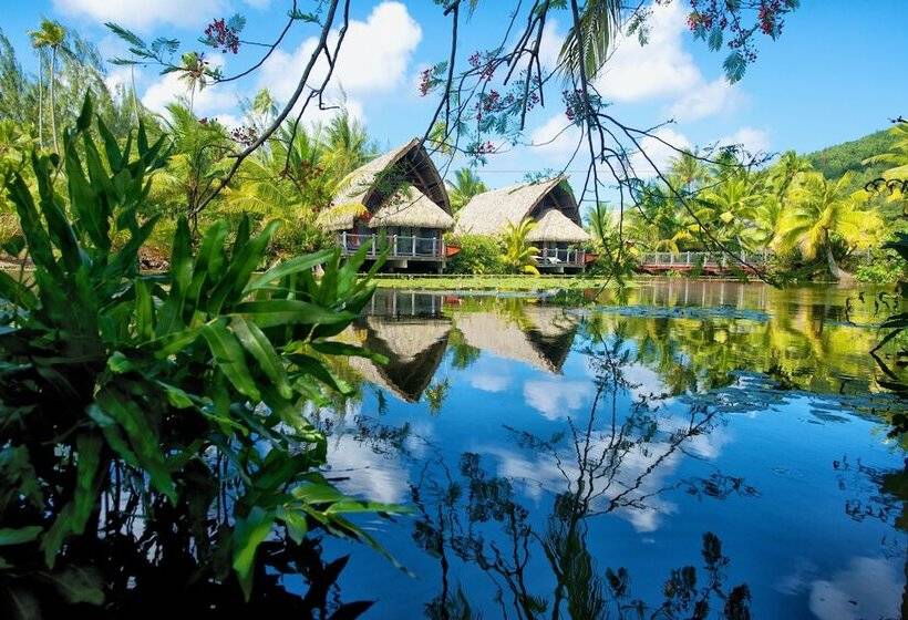بانگلوی ممتاز, Maitai Lapita Village Huahine