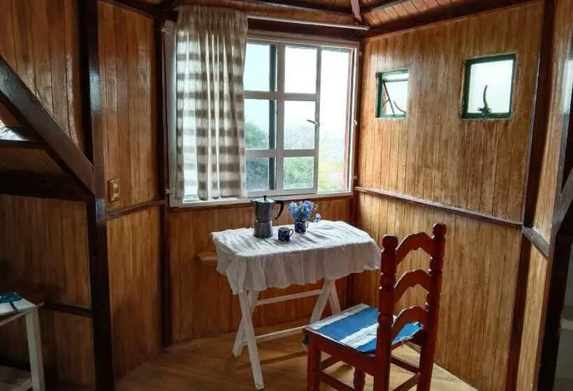 スタンダードシングルルーム, Cabañita Con Cocineta Y Vista A La Montaña