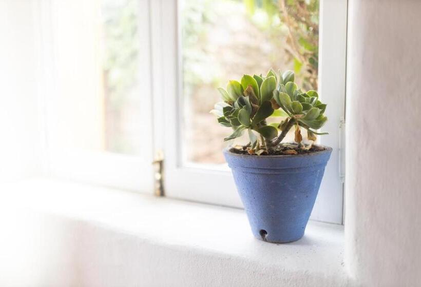 Номер Стандарт, Alma Do Paço