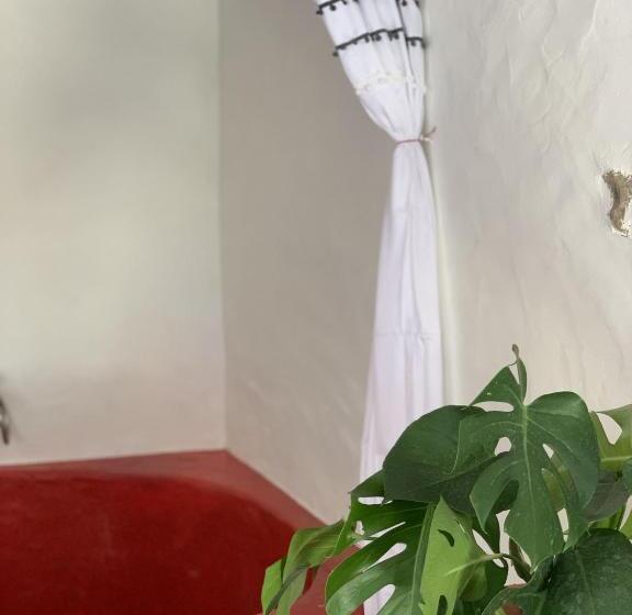 Номер Стандарт, Alma Do Paço