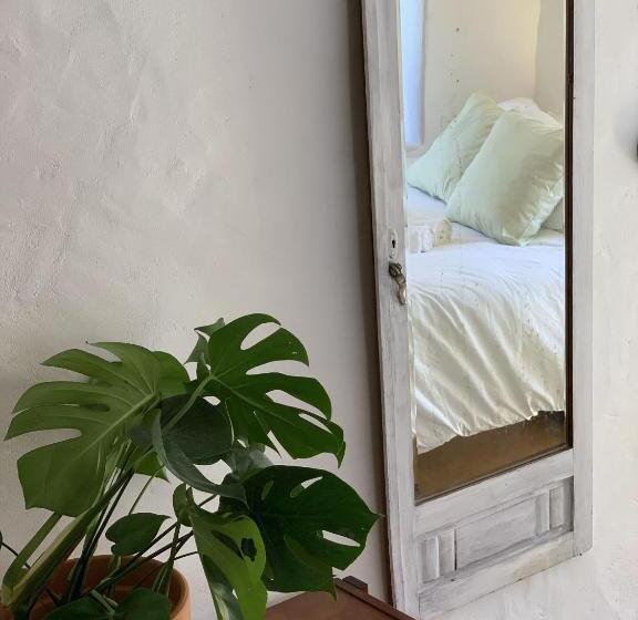 Номер Стандарт, Alma Do Paço