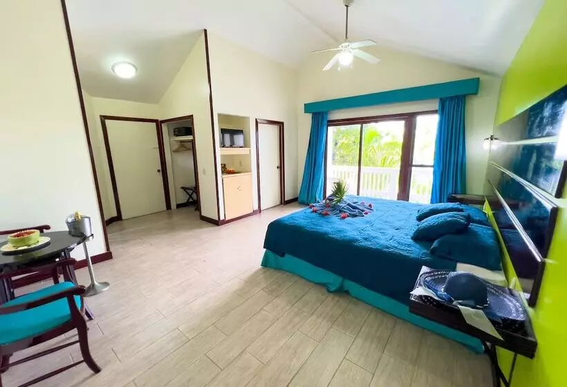 اتاق استاندارد با تخت بزرگ, Fantasy Island Beach Resort And Marina   All Inclusive