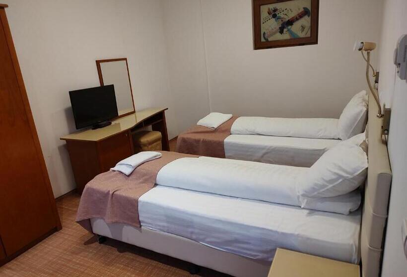 غرفة قياسية, Dana 2