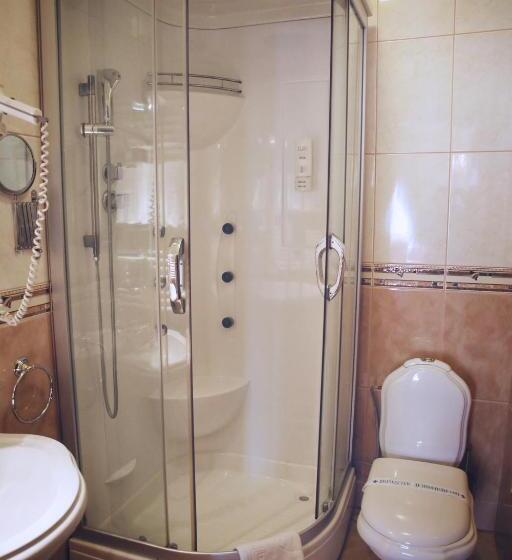 اتاق استاندارد یک نفره, Millenium