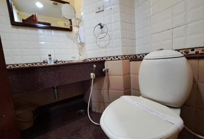 Люкс Повышенной Комфортности, Preethi Classic Towers