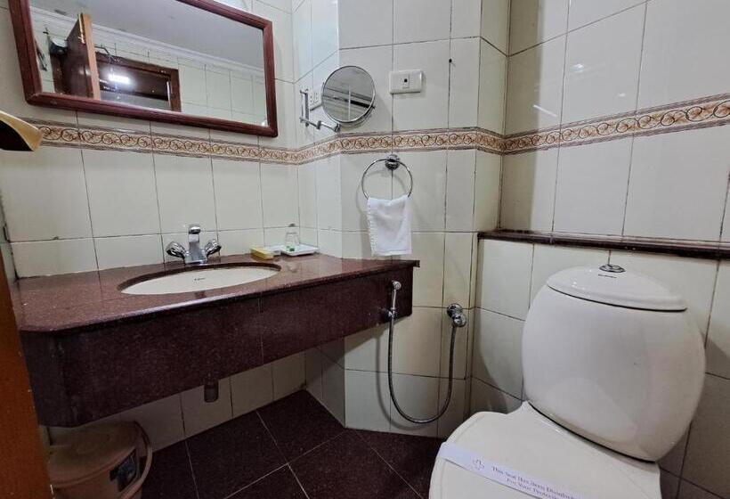 Люкс Повышенной Комфортности, Preethi Classic Towers