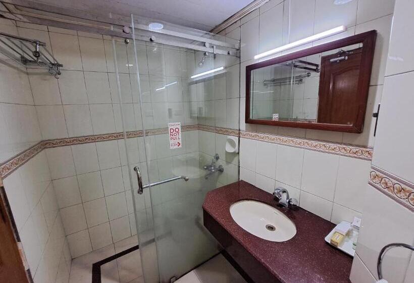 Люкс Повышенной Комфортности, Preethi Classic Towers