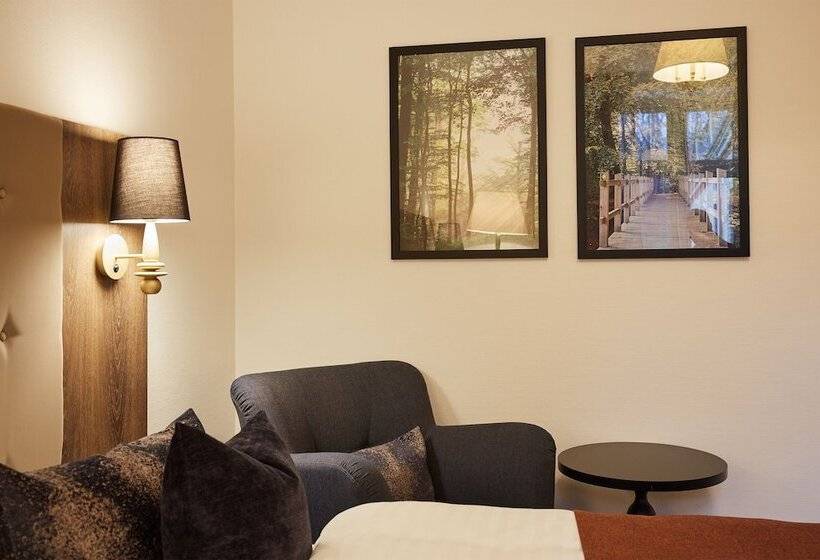 חדר סטנדרט, Vejlefjord