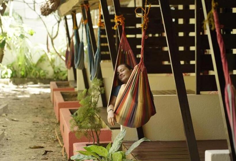 Háromágyas Standard Szoba, Lazy Dog Bed & Breakfast