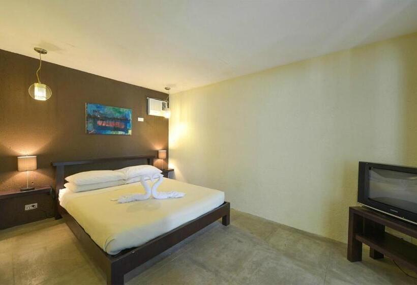 1 Szobás Ház, Lazy Dog Bed & Breakfast