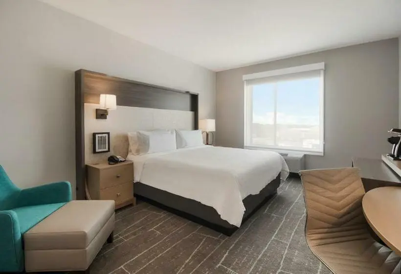 キングサイズベッドのスタンダードルーム, Holiday Inn & Suites Mt Juliet Nashville Area, An Ihg