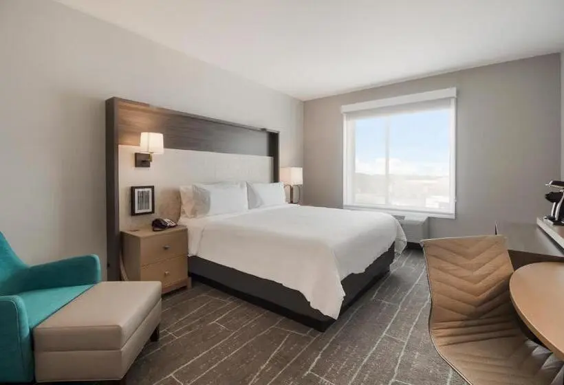 身障者適用キングサイズベッドルーム, Holiday Inn & Suites Mt Juliet Nashville Area, An Ihg
