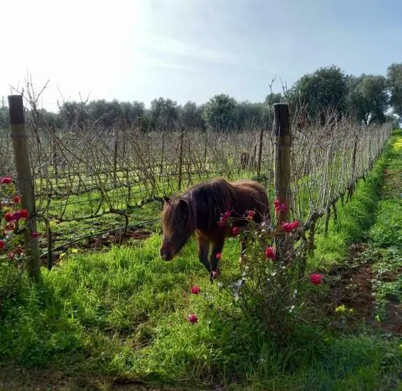 ガーデンビュースタンダードルーム, Masseria Ottavianello Doc Ostuni