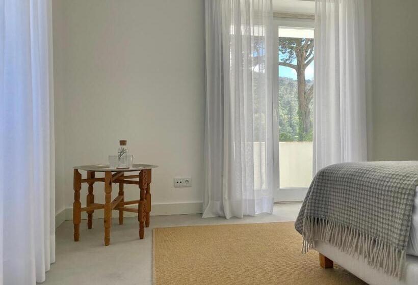 اتاق استاندارد با تراس, Cedros Nature House