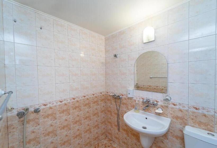 חדר אקונומי לשלושה, Boutique Guest House  Sofia