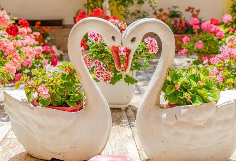 经济型三人房间, Boutique Guest House Sofia