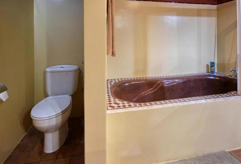 سوییت سوپریور, Riad Palmi Magnifique Riad Centre Ville   6px