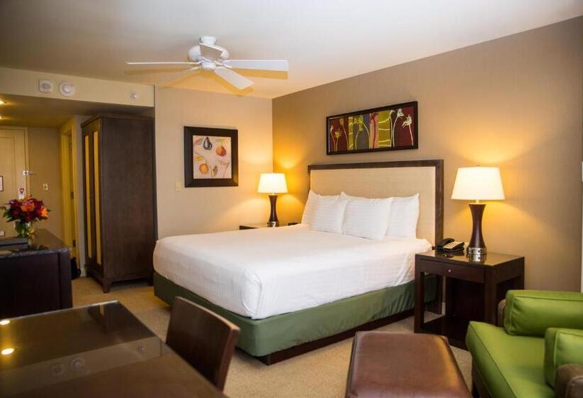 스탠다드 룸 킹사이즈 침대, Isle Casino Hotel Bettendorf
