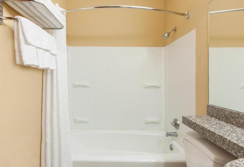 غرفة قياسية, Microtel Inn By Wyndham Rogers