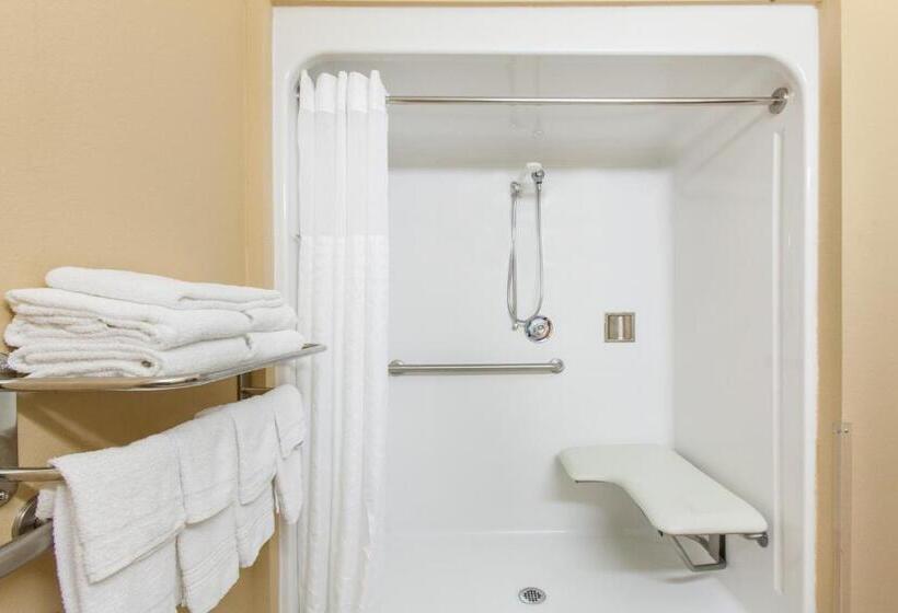 غرفة قياسية لذوى الاحتياجات الخاصة, Microtel Inn By Wyndham Rogers