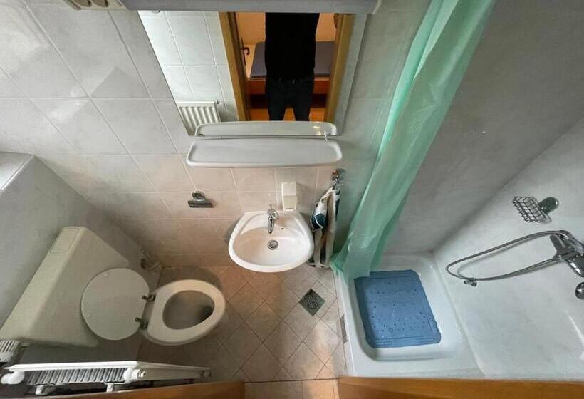 اتاق استاندارد یک نفره, Kegljišče Visole Apartmaji In Sobe