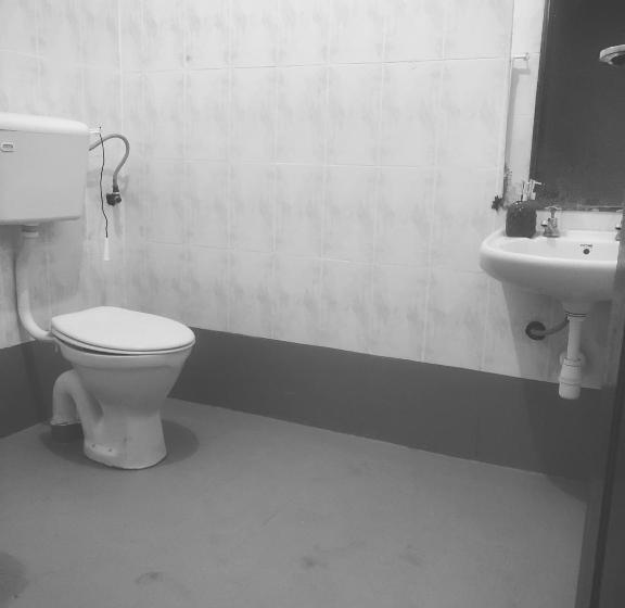 اتاق اکونومی, Safariadventures House