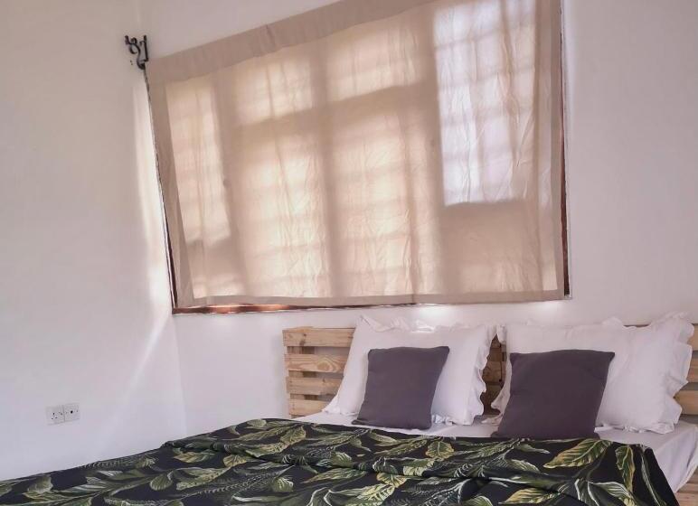 اتاق لوکس, Safariadventures House