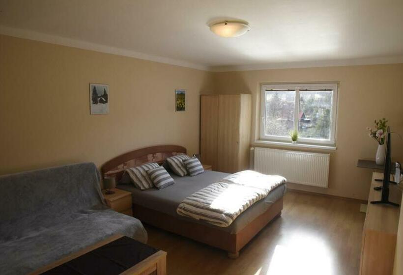 Апартаменты 2 Спальни, Pension Hejnice