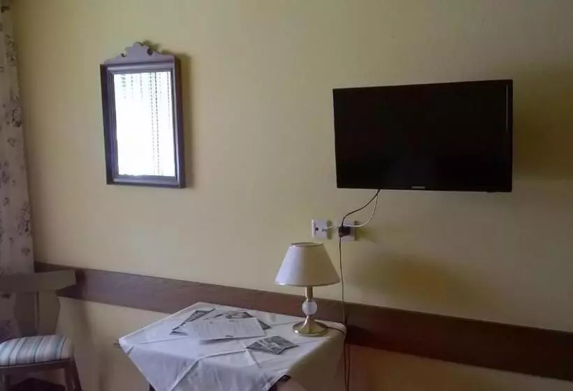 اتاق استاندارد یک نفره, Ferienhotel Knollhof