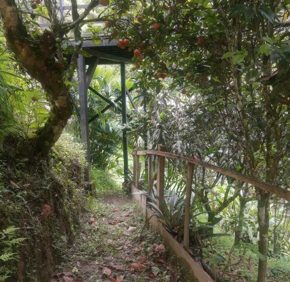 标准间, Alojamiento El Regalo