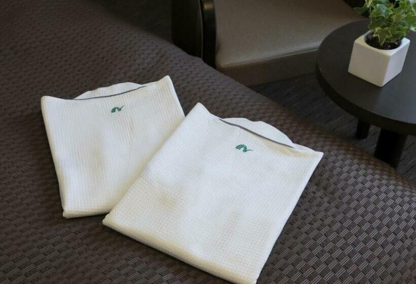 标准间, Nishitetsu Inn Kochi Harimayabashi