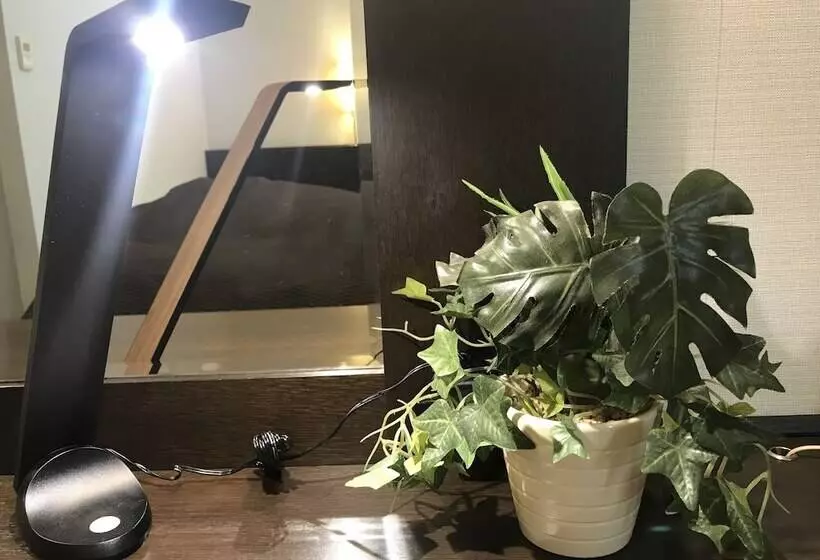 スタンダードルーム, Nishitetsu Inn Kochi Harimayabashi