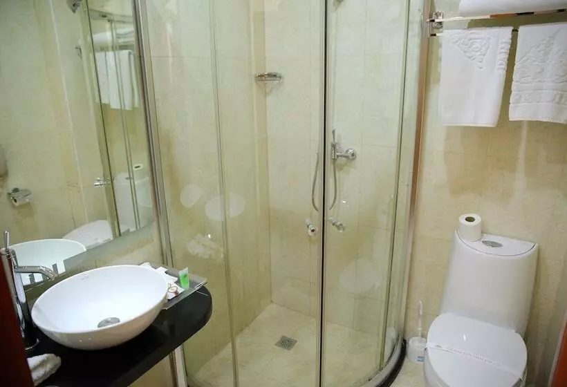 اتاق استاندارد یک نفره, Park Hotel Bishkek