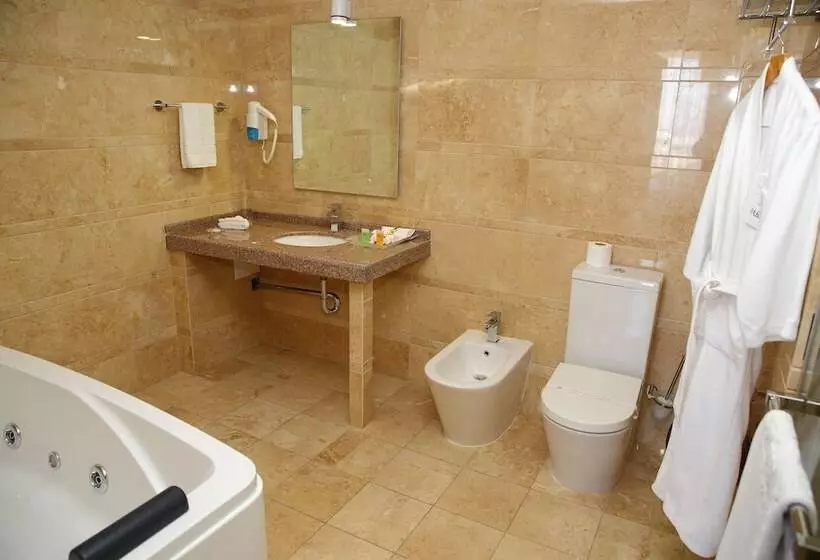 اتاق سوپریور یک تخته, Park Hotel Bishkek