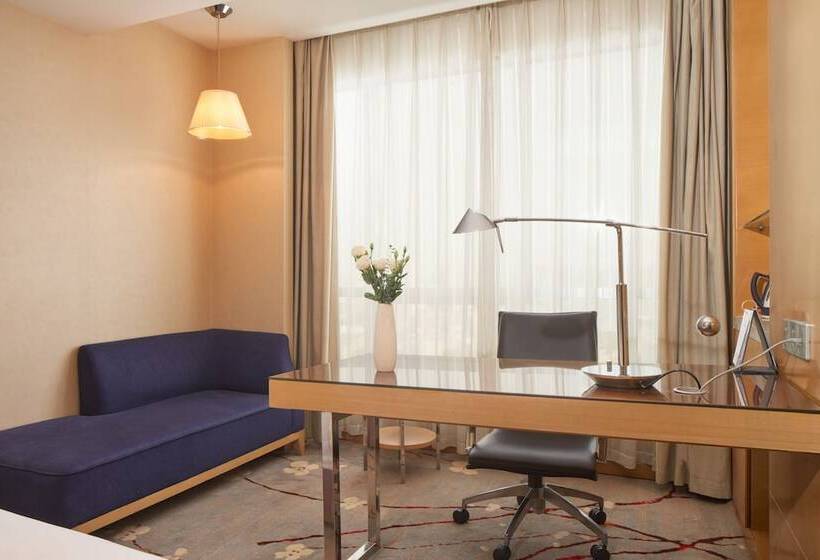 エクゼクティブルーム, Grandskylight