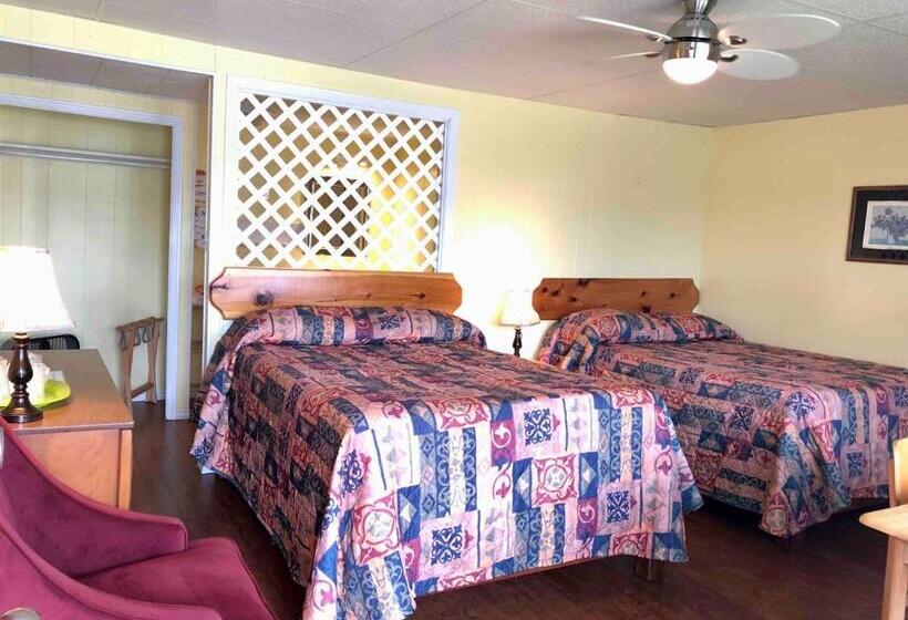 带2个双人床的标准工作室, Lakelawn B&b Motel